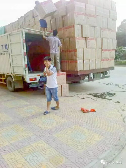 高州市環(huán)華裝卸服務(wù)部 以專業(yè)搬運裝卸與一流打包服務(wù)，樹立行業(yè)標桿